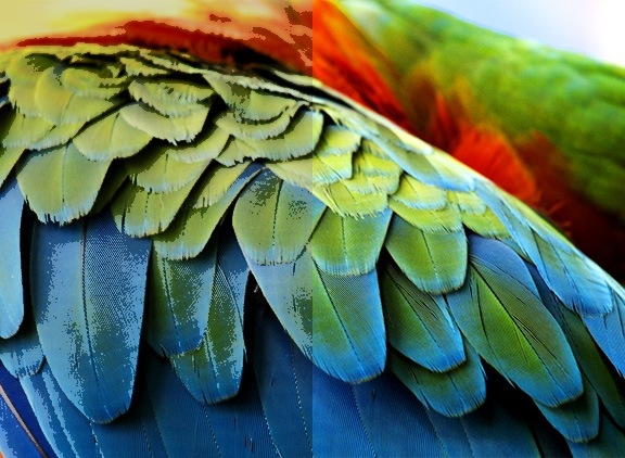 A half of screen is conventional and half is an active crystal colour display.