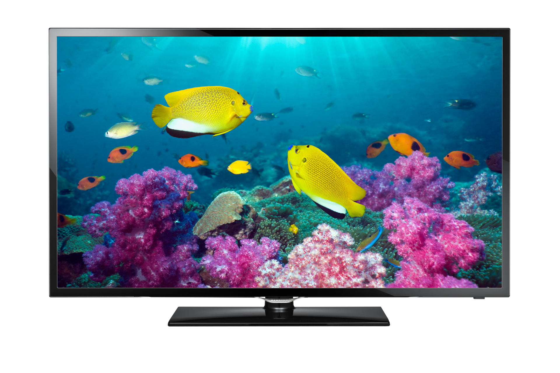 40” F5300 Series 5 Smart Full HD LED TV | Samsung Support UK
