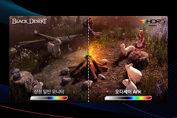 모니터화면을 반으로 나누어 HDR 10+이 적용된 오른쪽과 적용되지 않은 왼쪽 화면의 차이를 비교하여 보여주는 이미지 컷입니다. 모니터 스크린에는 BLACK DESERT 게임의 한장면을 보여주고 있어 오른쪽과 왼쪽의 컬러의 선명함의 차이를 보여주고 있습니다.