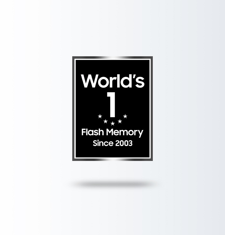 WORLD's No.1 Flash MEMORY 로고가 노출되고 있습니다