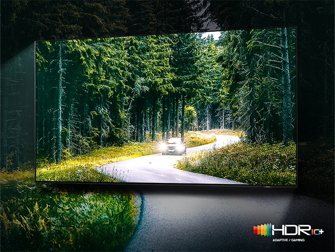 TV 화면 안에서부터 밖까지 숲길이 이여져 있으며, TV 안 숲길에는 자동차가 보입니다.