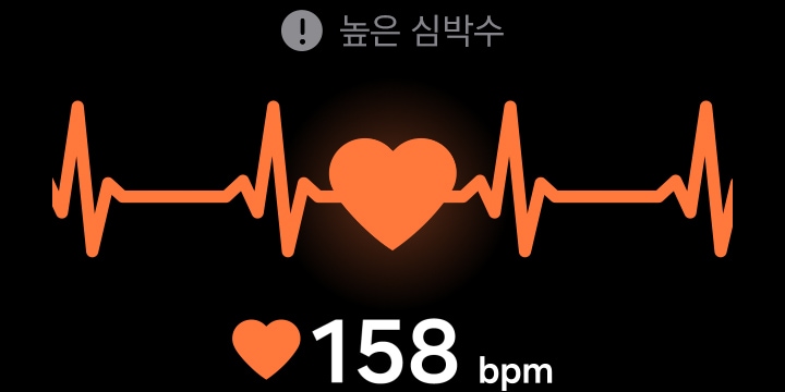 측정되는 심전도(ECG)의 GUI를 표시하고 있습니다. 측정 시간과 bpm이 바뀌고, 숫자 아래에는 심장 박동을 나타내고자 움직이는 그래프가 표시됩니다.