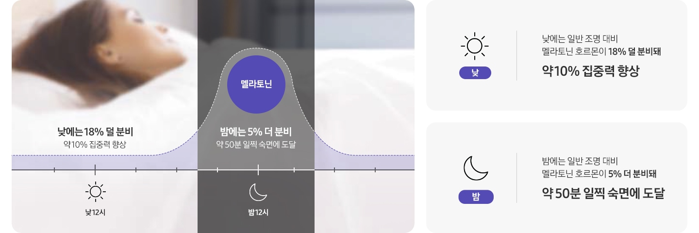 낮 12시 전 후로 낮에는 멜라토닌 호르몬이 18% 덜 분비되며 약 10% 집중력 향상되는 그래프와, 밤 12시 전 후로 멜라토닌 호르몬이 5% 더 분비되어 약 50분 일찍 숙면에 도달할 수 있음을 보여주는 그래프가 나와있습니다. 낮, '해' 아이콘과 문구- 낮에는 일반 조명 대비 멜라토닌 호르몬이 18% 덜 분비돼 약 10% 집중력 향상 문구가 나와있습니다. 밤, '달' 아이콘과 문구-밤에는일반 조명 대비 멜라토닌 호르몬이 5% 더 분비돼 약 50분 일찍 숙면에 도달 문구가 나와있습니다.