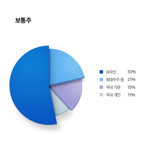 주주 구성현황 보통주 외국인 53% 최대주주 등 21% 국내 기관 15% 국내 개인 11%