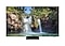 OLED