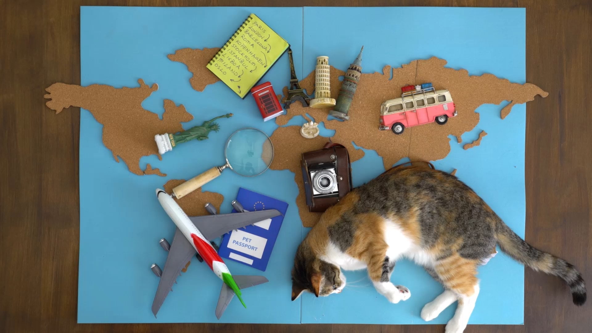 책상 위에 파란색 세계지도 위에 장난감 비행기, 돋보기, 카메라가 있고, 검은색과 밝은 갈색 무늬의 고양이가 옆으로 누워 움직이고 있는 영상