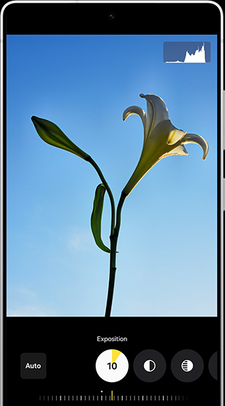 Une fleur est en cours d’édition à l’aide d’Expert RAW. Différentes options d’édition sont disponibles, notamment l’exposition.