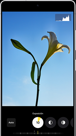 Se está editando una flor con Expert RAW. Hay varias opciones de edición disponibles, incluida la exposición.