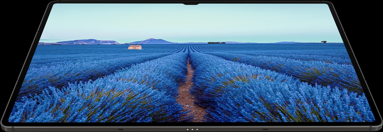 Dispositivo da série Galaxy Tab S9 no modo Paisagem com um papel de parede de campo azul na tela, mostrando as cores vivas.