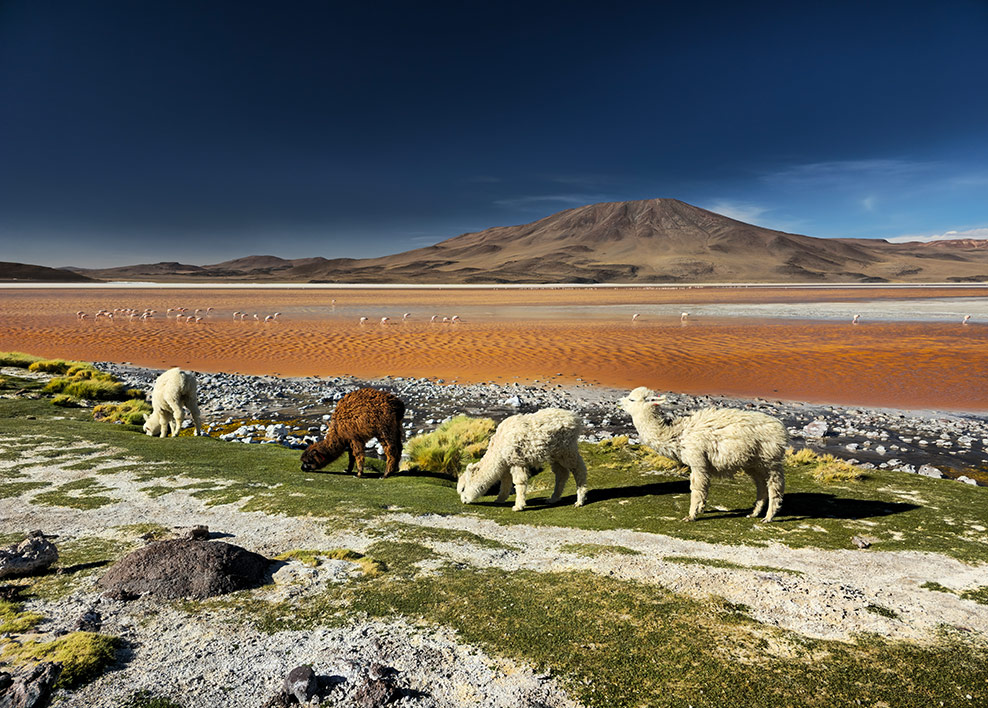 Una foto de paisaje de 200 megapíxeles muestra detalles y colores intensos. Cuando se recorta más cerca, los detalles permanecen claros.