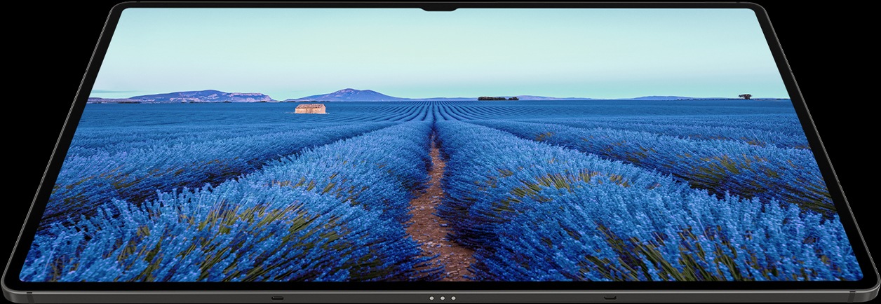 ئامێرێکی زنجیرەی Galaxy Tab S9 لە باری ئاسۆییدا بە باکگڕاوندی دەشتێکی شین لەسەر شاشەکەی، ڕەنگە زیندووەکانی پیشان دەدات.