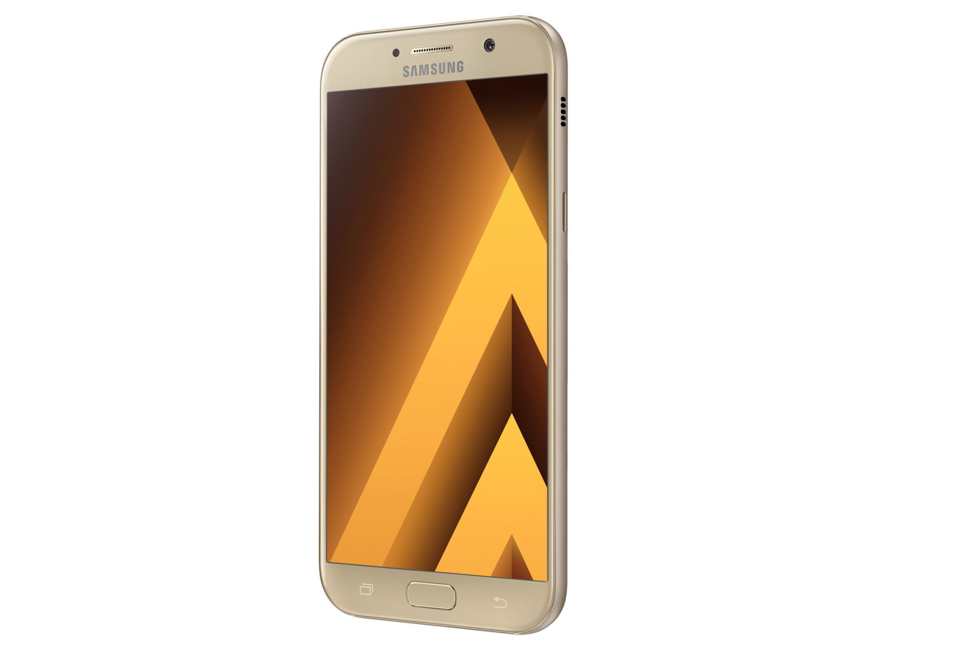 L30 Gold