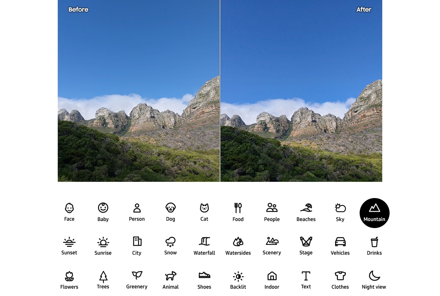 Scene Optimizer, refine your shots