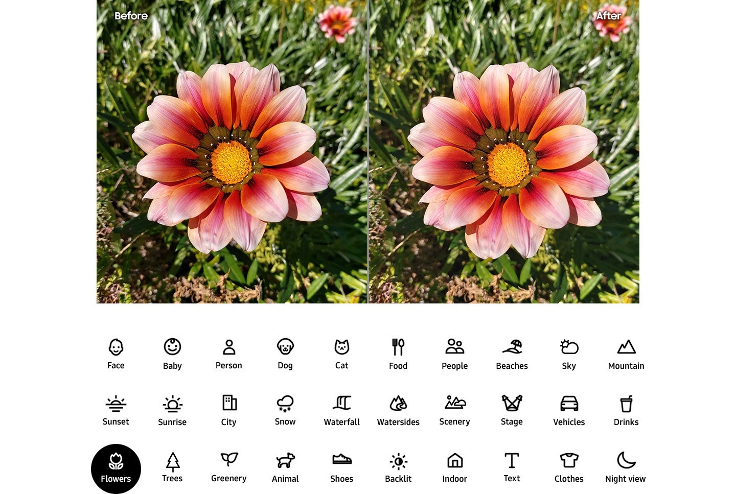 Scene Optimizer, refine your shots