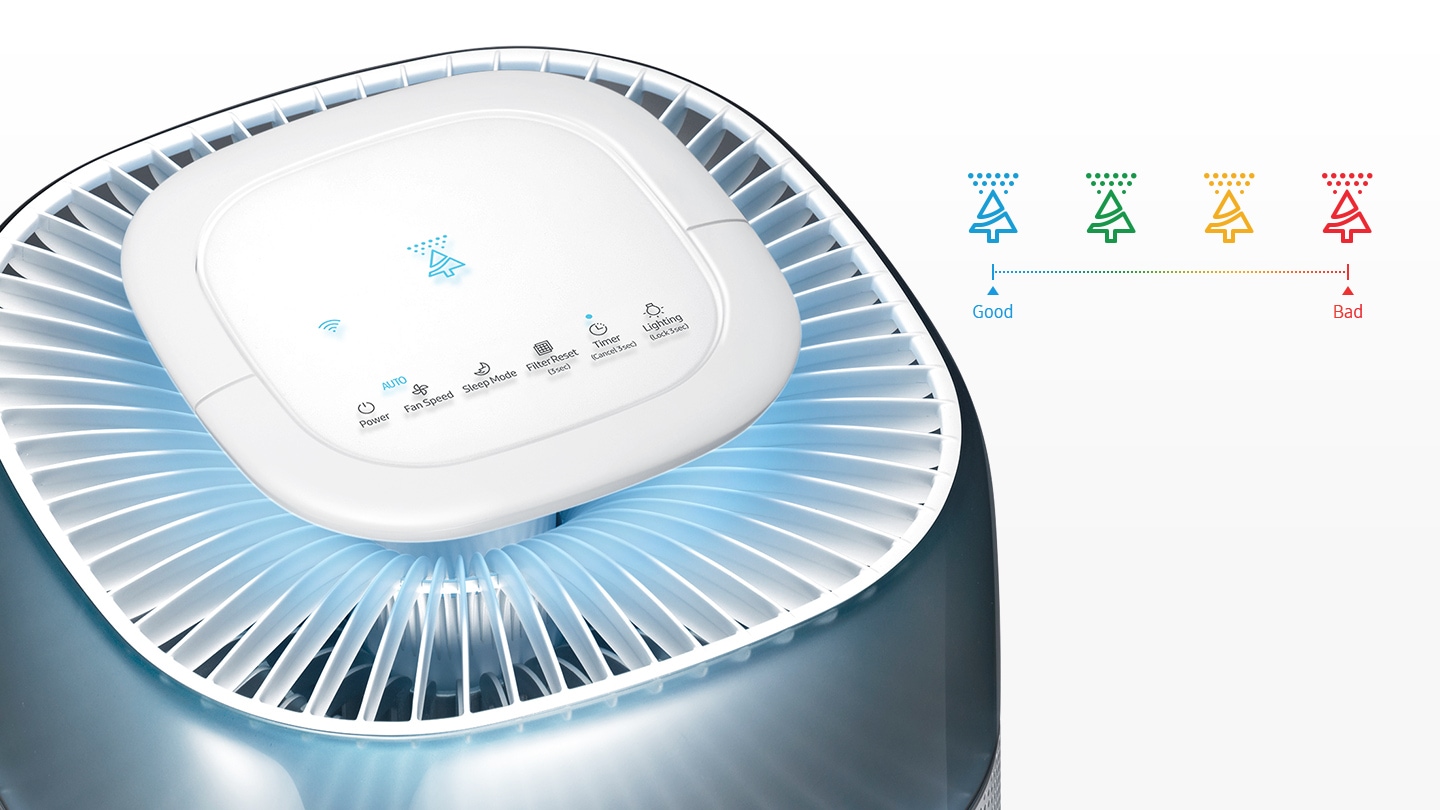 Smart Detection & Display