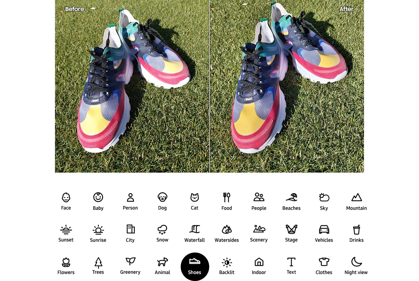 Scene Optimizer, refine your shots