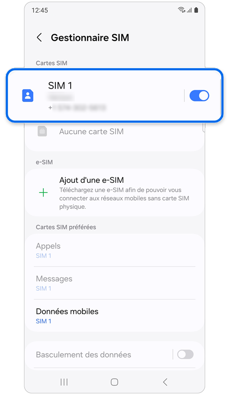 Écran du menu du gestionnaire des cartes SIM.