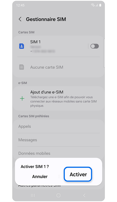 Écran du menu du gestionnaire des cartes SIM affichant une fenêtre contextuelle.