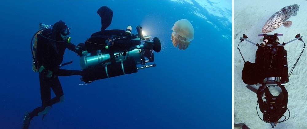 Interview] A Deep Dive Into 8K: Underwater Cinematographer Pawel