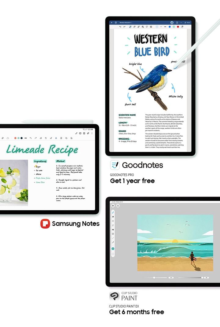 Galaxy Tab S9 FE+ in Mint in Landscape mode, facing forward with S Pen attached on top and the Samsung Notes app open onscreen. Samsung Notes logo. Galaxy Tab S9 FE+ in Mint in Portrait mode, facing forward with S Pen pointed at the screen and the GOODNOTES PRO app open with text Get 1 year free. Galaxy Tab S9 FE+ in Lavender in Landscape mode, facing forward with the Clip Studio Paint app open onscreen with text CLIPSTUDIO EX Get 6 months free.