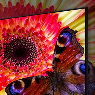 What is 8K, the highest resolution | Samsung Africa