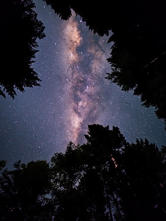 Un ciel nocturne avec la silhouette d’arbres au premier plan. Les détails sont capturés avec les couleurs vives de la galaxie violette et rose. La photo a été prise avec le Galaxy S23 Ultra en mode large dans Expert Raw avec une ouverture de F1.7.