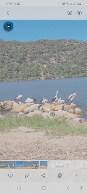 Using Quick Crop on the Galaxy S21 Samsung Australia