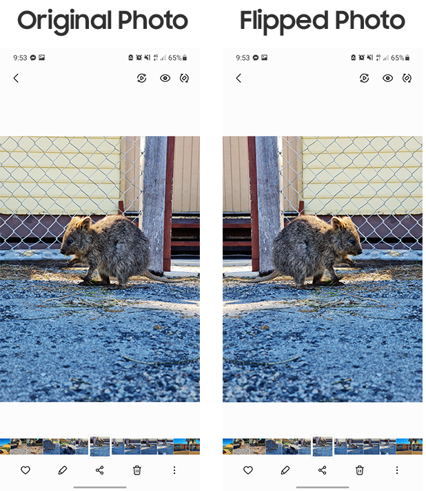 flipping-photos-in-the-gallery-app-on-my-samsung-phone-samsung-australia