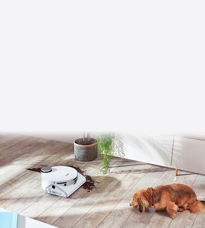 Pet Care | Home Appliances for Pet Hair Removal | Samsung AU