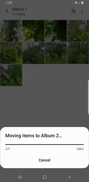 Using the Gallery app on my Samsung device Samsung Australia