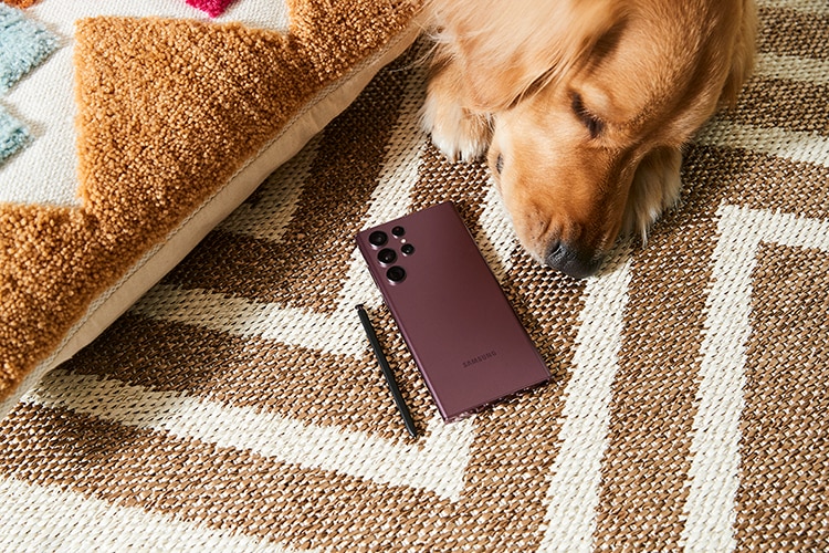 Galaxy S22 Ultra & Sleeping dog image