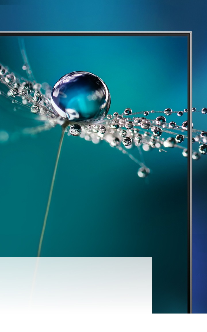 The best TV brand for picture quality Samsung Australia