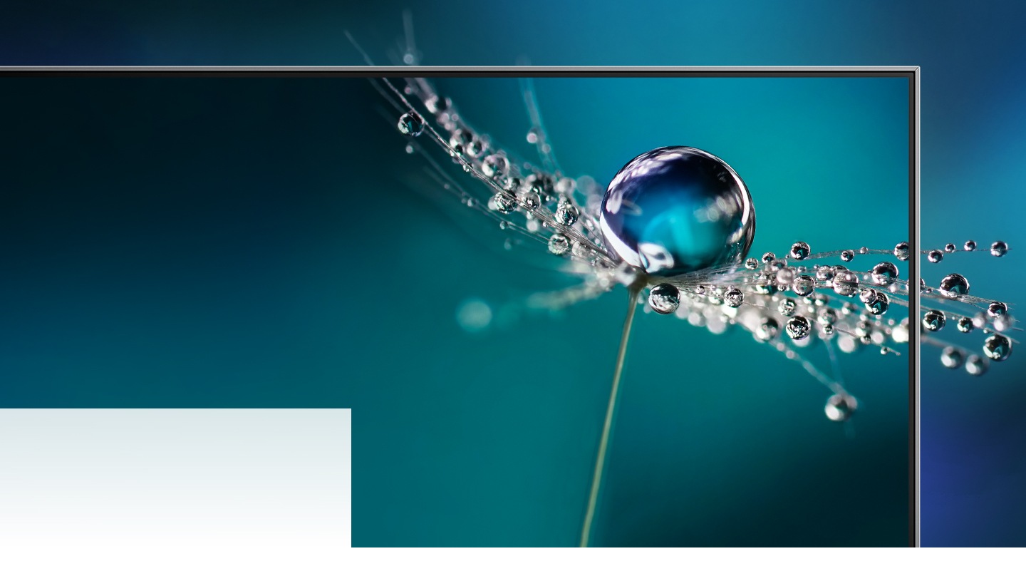 The best TV brand for picture quality Samsung Australia