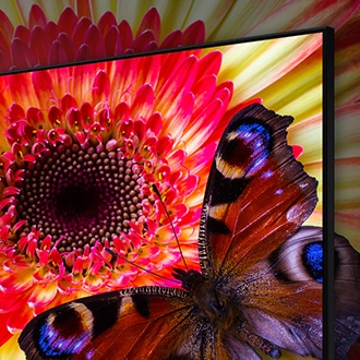 What is 8K TV, the highest resolution | Samsung Australia