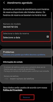Em Atendimento Agendado, selecionar a data e confirmar no botão