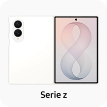 Serie Z
