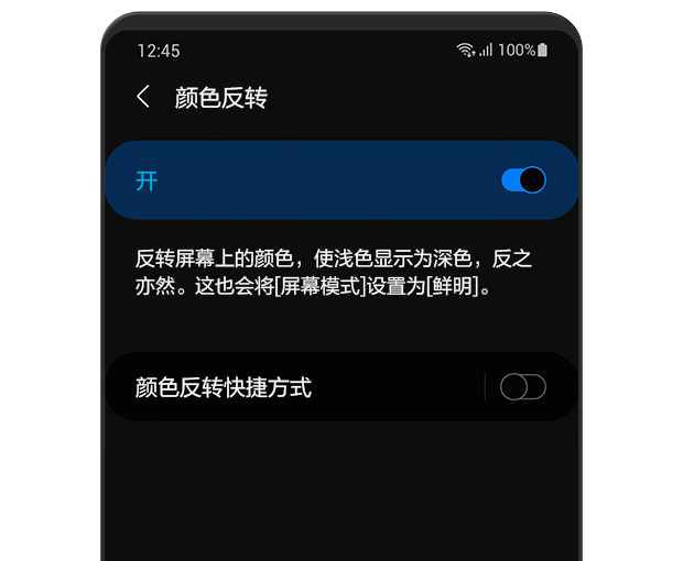 galaxy智能手机的正面视图显示颜色反转设置页面的功能是启用的.