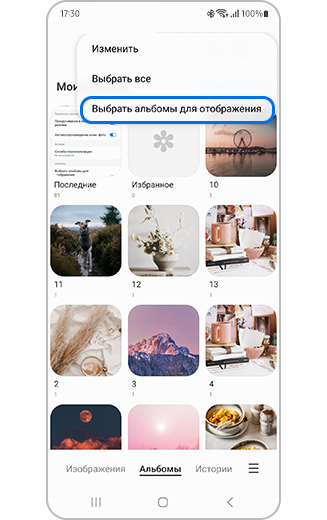Изображение функции выбора альбомов для отображения в дополнительных опциях.