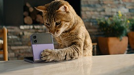 Galaxy Z Flip4 : Film de lancement officiel | Samsung