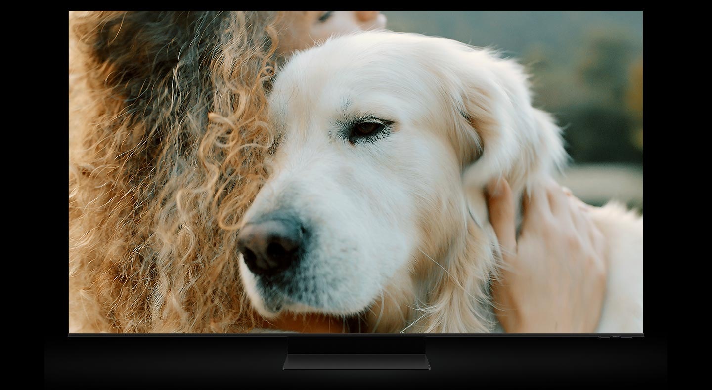 Телевизор Samsung Neo QLED 8K 2023 года показывает увеличенное до 8К AI изображение женщины, обнимающей собаку, качество картинки улучшено благодаря нейронному процессору Quantum 8K