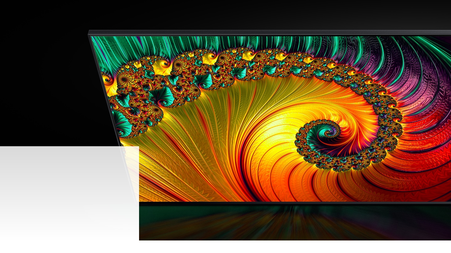 Bir QLED TV, yüksek çözünürlüklü görüntü kalitesiyle farklı renklere sahip bir deniz kabuğunu göstermekte.