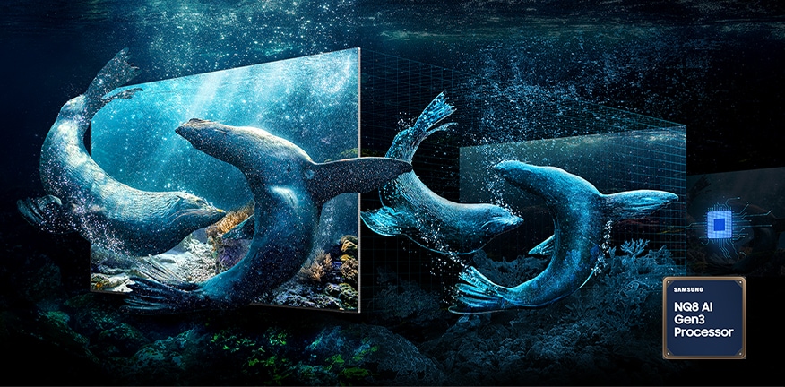 Samsung's NQ8 AI Gen3 Processor works behind layers of the TV screen to optimize the depth expression of underwater seals so realistically, they pop off the screen