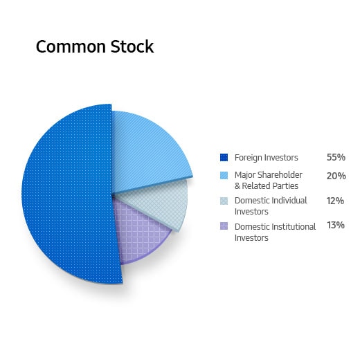 Common Stock. Foreign Investors 55%. Major Shareholder & Related Parties 20%. Domestic Individual Investors 12%. Domestic Institutional Investors 13%