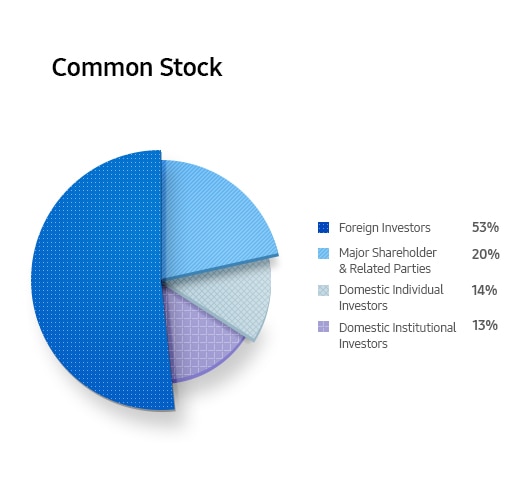 Common Stock. Foreign Investors 53%. Major Shareholder & Related Parties 20%. Domestic Individual Investors 14%. Domestic Institutional Investors 13%