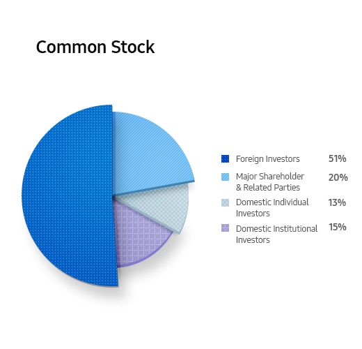 Common Stock. Foreign Investors 51%. Major Shareholder & Related Parties 20%. Domestic Individual Investors 13%. Domestic Institutional Investors 15%