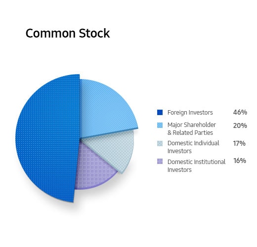 Common Stock. Foreign Investors 46%. Major Shareholder & Related Parties 20%. Domestic Individual Investors 17%. Domestic Institutional Investors 16%