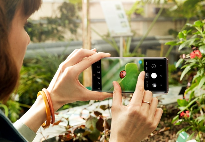 Slik tar man gode naturbilder med en smarttelefon | Samsung NO