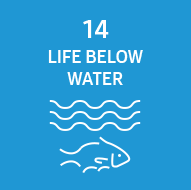 Imagen representativa del ODS Vida debajo del agua