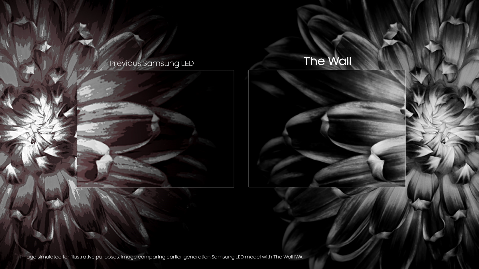 Comparing black and white images. Conventional has a faded gray look, but The Wall shows a clean gray.