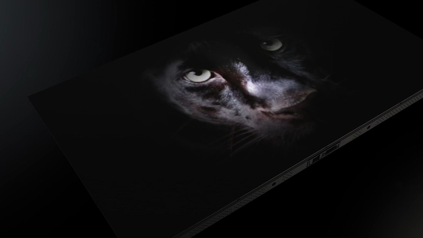 The screen of The Wall is covered with multiple layers. The black color of the screen is well expressed.